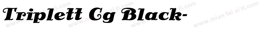 Triplett Cg Black字体转换
